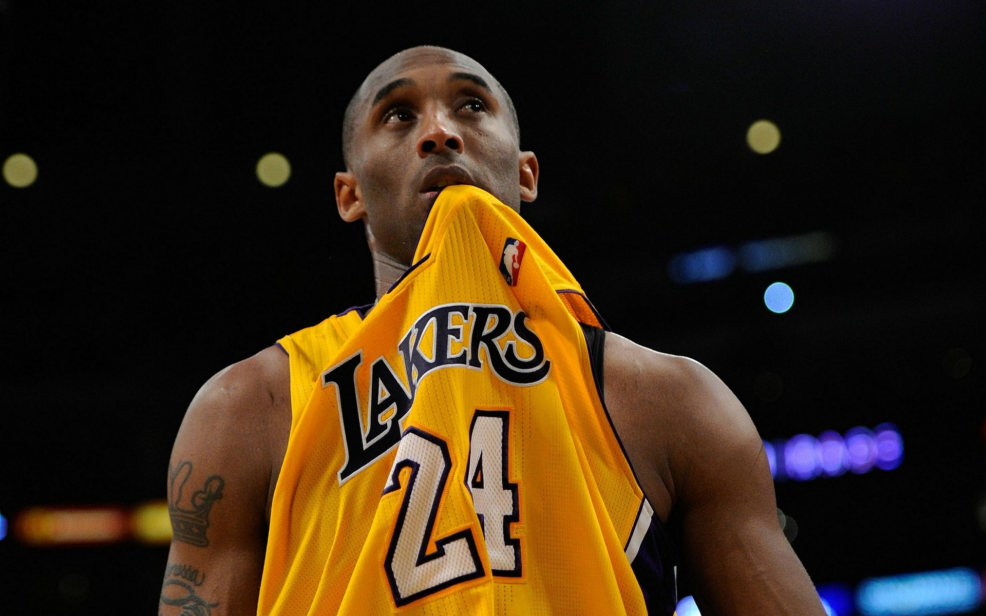 油脂机械预处理设备