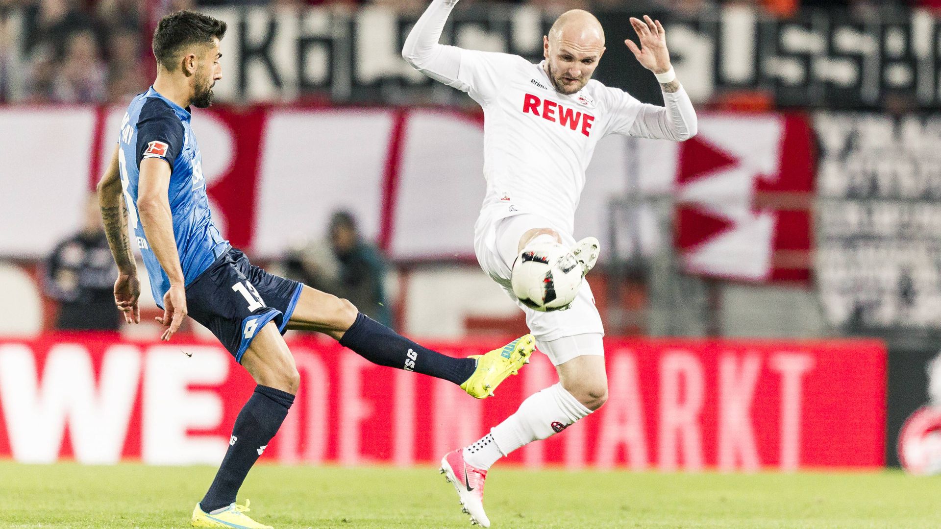 葵花籽油精炼、脱蜡设备