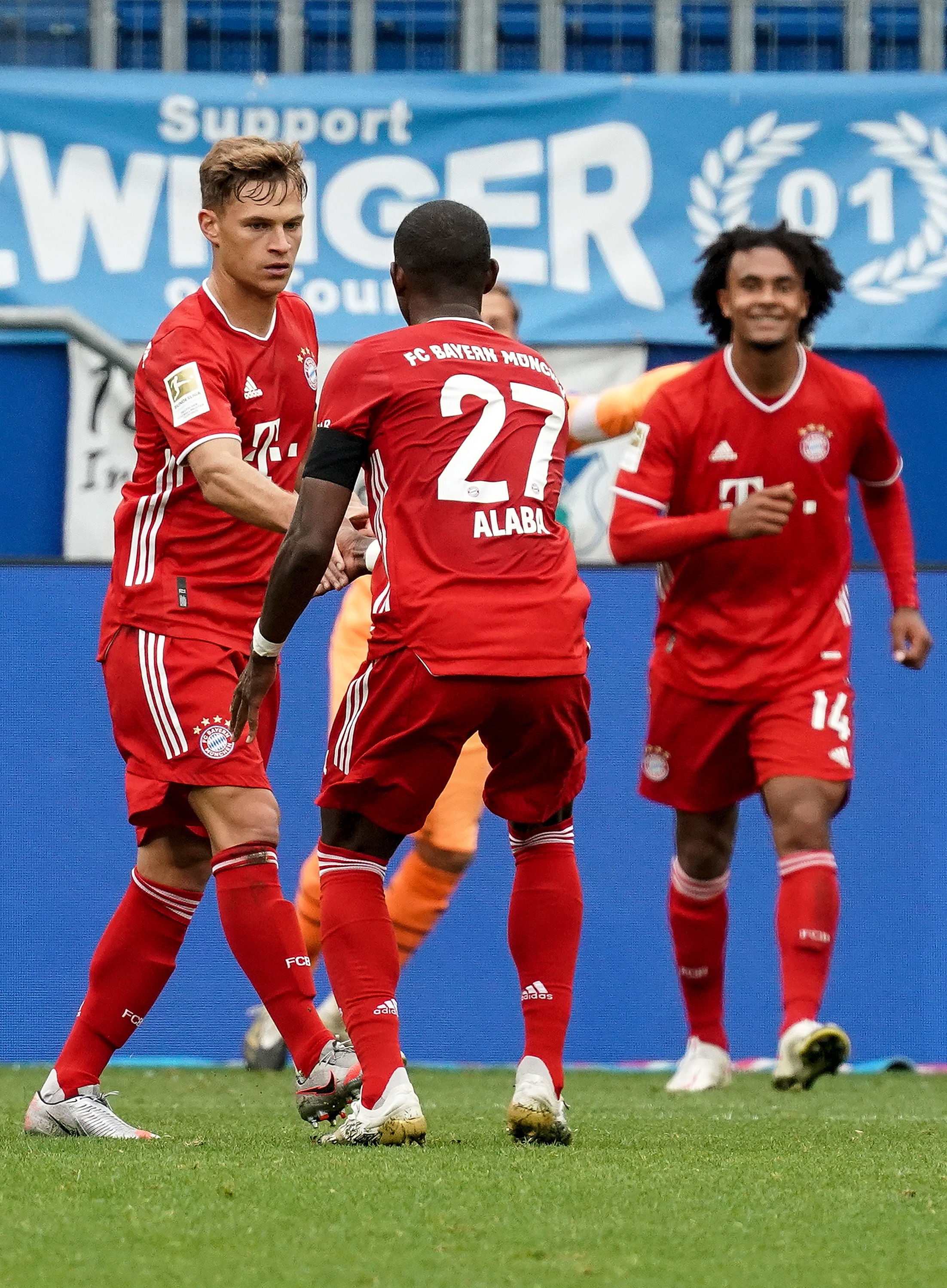 小规模的茶籽油生产线