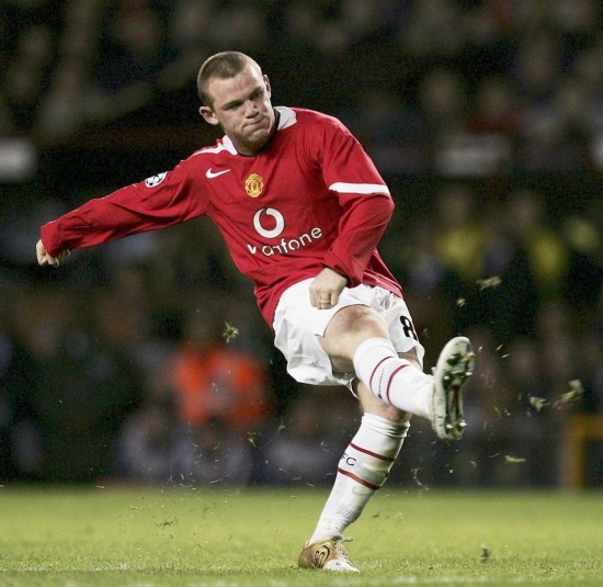 动物油脂精炼设备