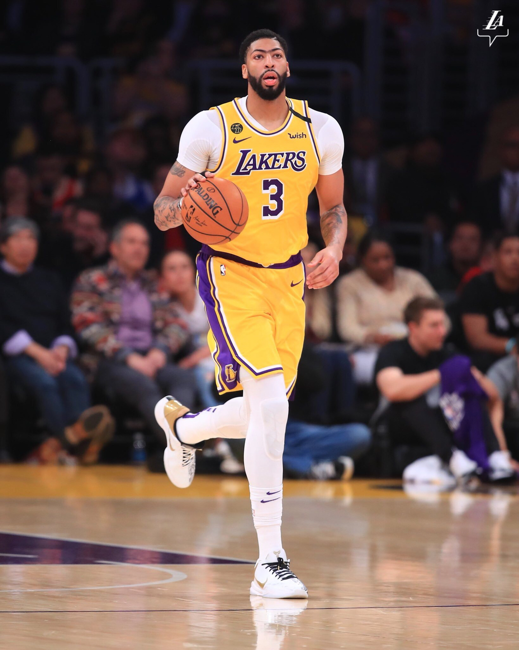 牡丹籽油设备 植物油脂成套设备