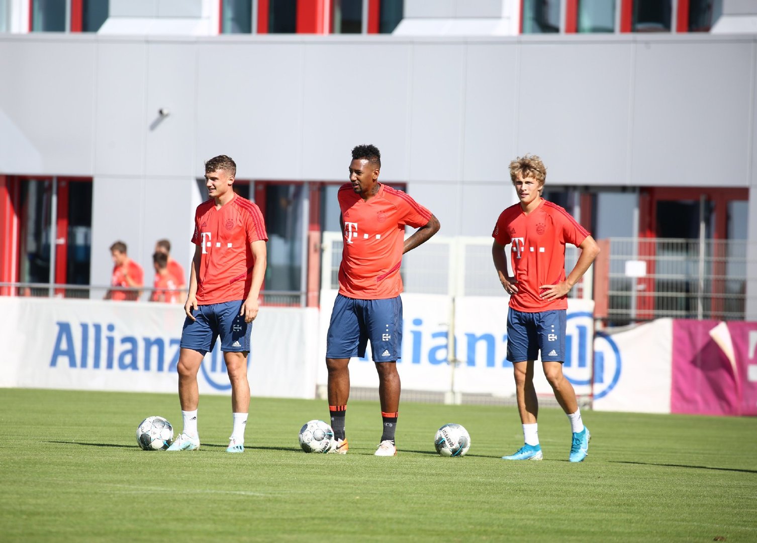 动物油脂精炼设备