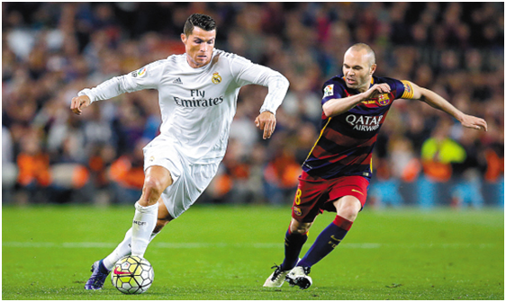 动物油脂精炼设备